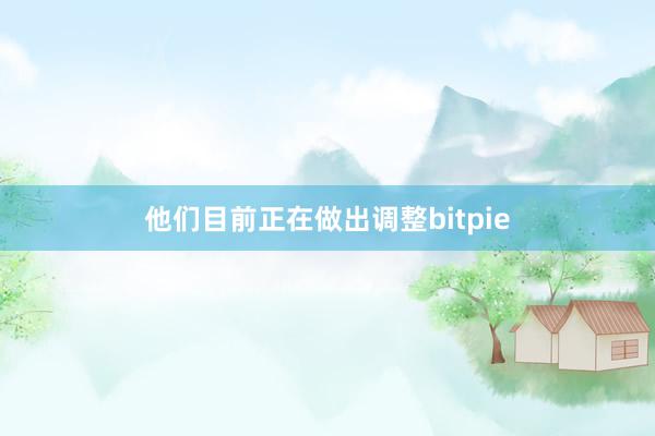 他们目前正在做出调整bitpie