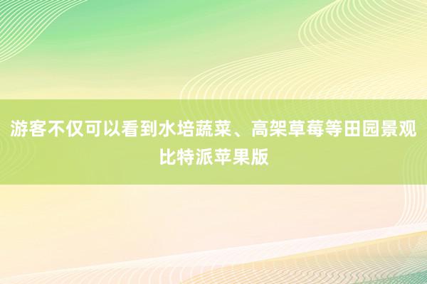 游客不仅可以看到水培蔬菜、高架草莓等田园景观比特派苹果版