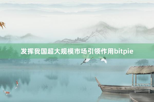 发挥我国超大规模市场引领作用bitpie