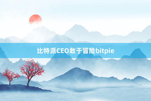 比特派CEO敢于冒险bitpie