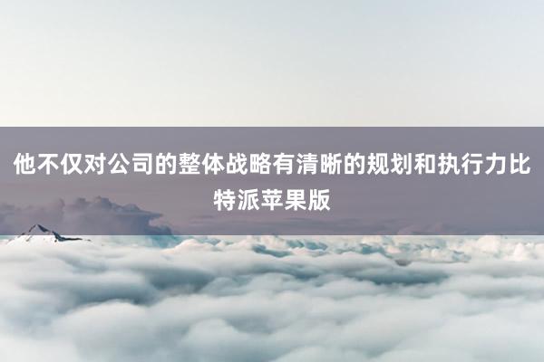 他不仅对公司的整体战略有清晰的规划和执行力比特派苹果版