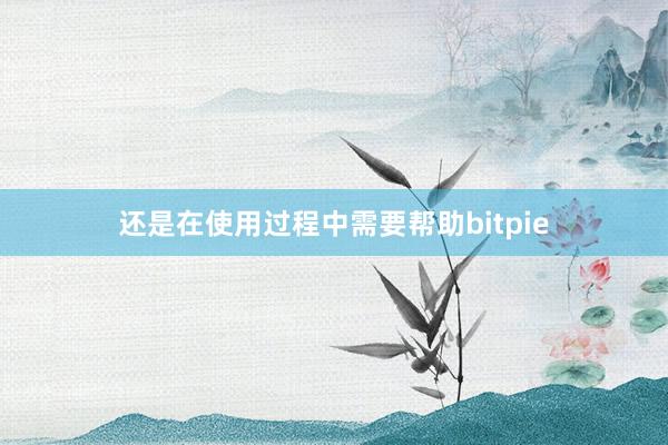 还是在使用过程中需要帮助bitpie