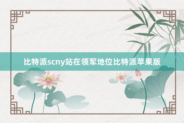 比特派scny站在领军地位比特派苹果版