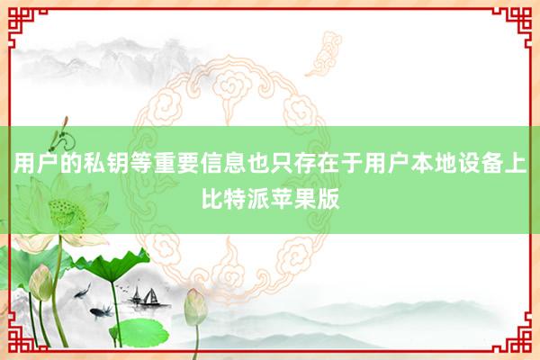 用户的私钥等重要信息也只存在于用户本地设备上比特派苹果版