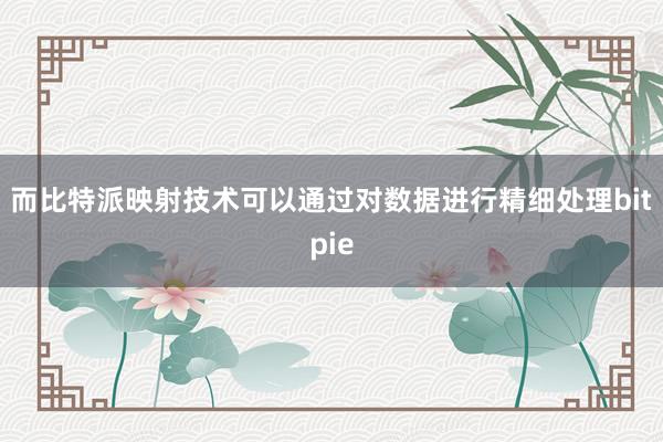 而比特派映射技术可以通过对数据进行精细处理bitpie