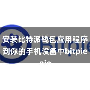 安装比特派钱包应用程序到你的手机设备中bitpie