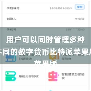 用户可以同时管理多种不同的数字货币比特派苹果版