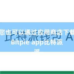 您也可以通过应用商店下载Bitpie app比特派