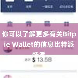 你可以了解更多有关Bitpie Wallet的信息比特派