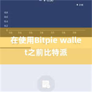 在使用Bitpie wallet之前比特派